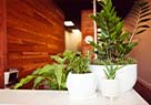 Thumbnail of Agnew Family Wellness's waitingroom plants